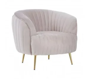 Mink Velvet Chair With Gold Legs